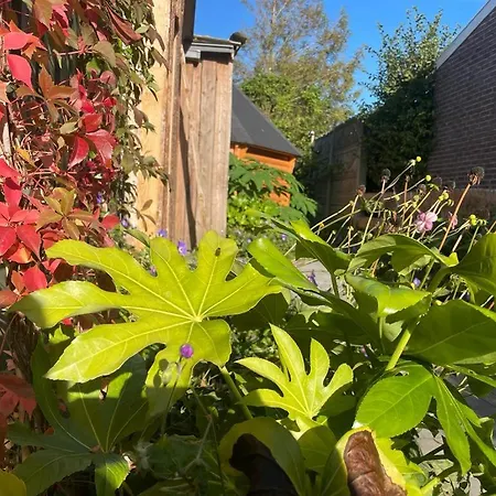 Holiday home Finse Kota Met Prive Sauna En Hottub Spanbroek