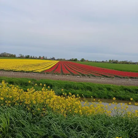 Finse Kota Met Prive Sauna En Hottub