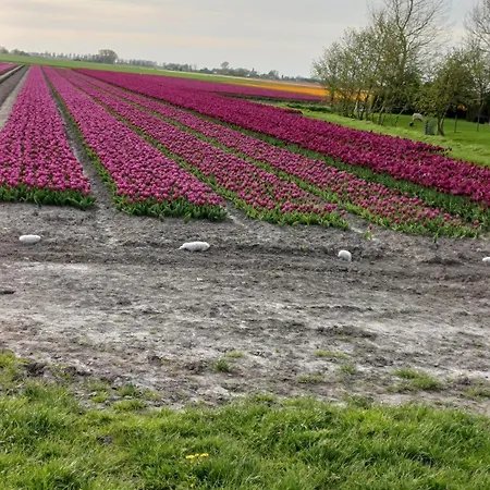 Kota Wadway Vakantiehuis *