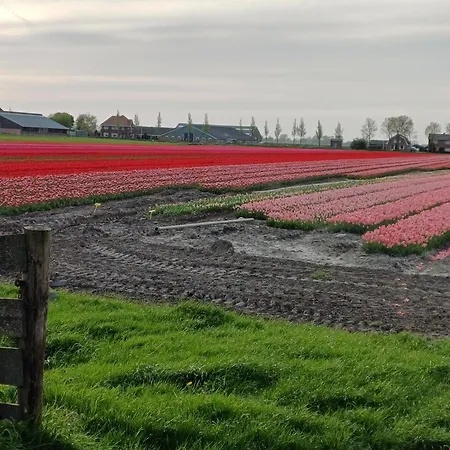 Kota Wadway * Spanbroek